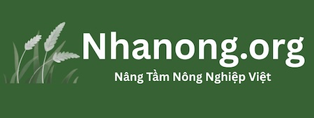 Nhanong.org