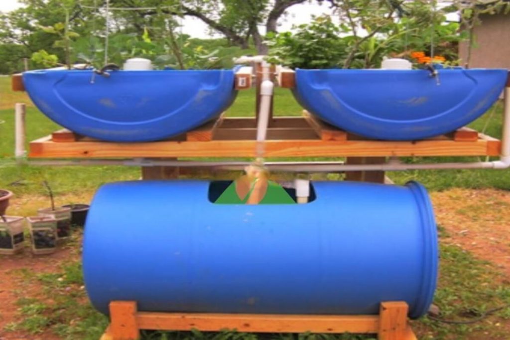 mô hình Aquaponic gia đình 