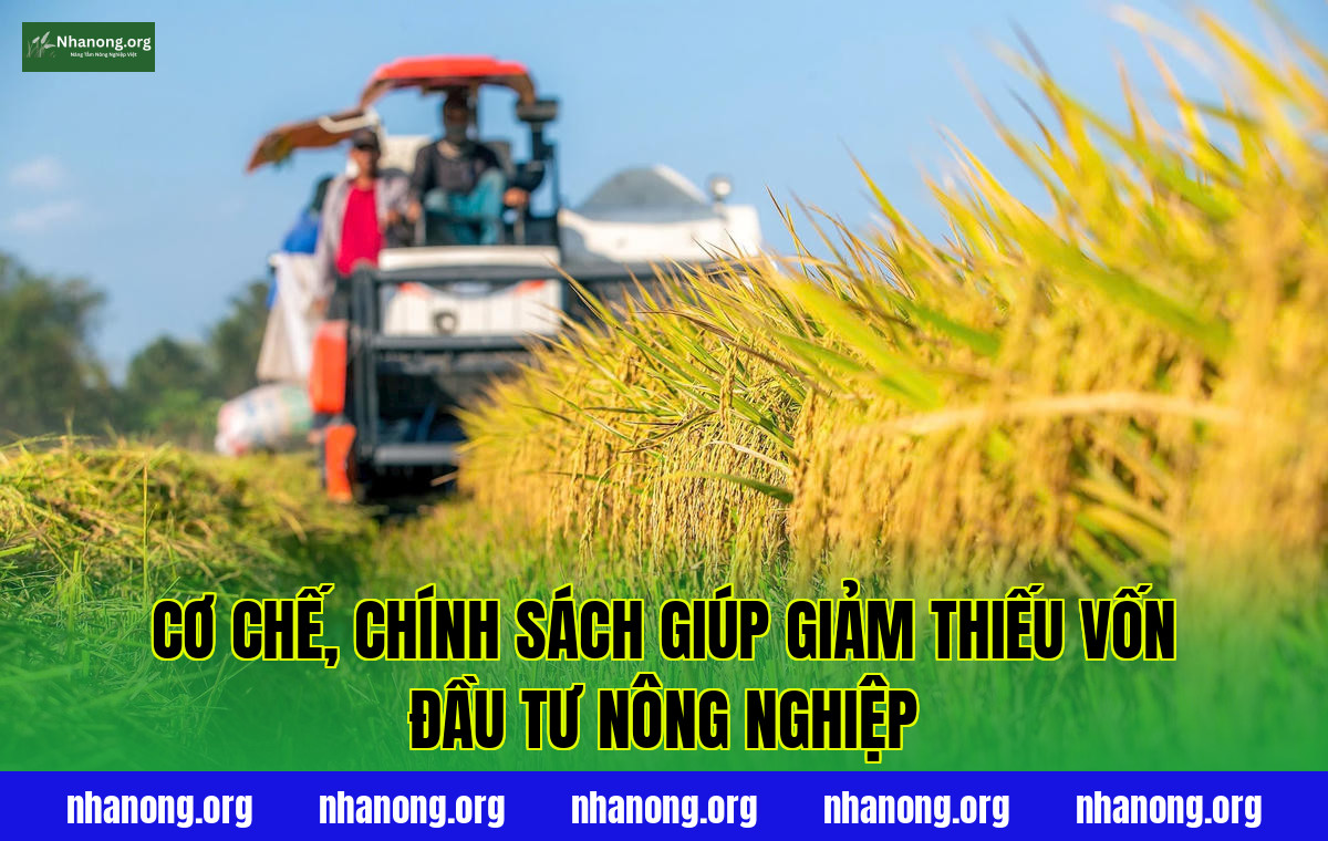 Cơ chế, chính sách giúp giảm thiếu vốn đầu tư nông nghiệp