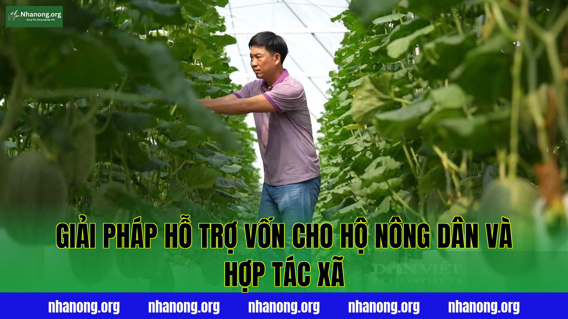 Giải pháp hỗ trợ vốn cho hộ nông dân và hợp tác xã
