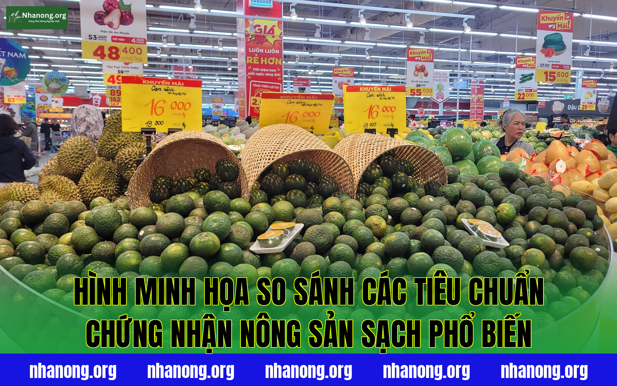 Hình minh họa so sánh các tiêu chuẩn chứng nhận nông sản sạch phổ biến