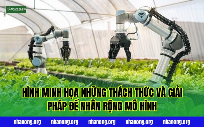 Hình minh họa những thách thức và giải pháp để nhân rộng mô hình