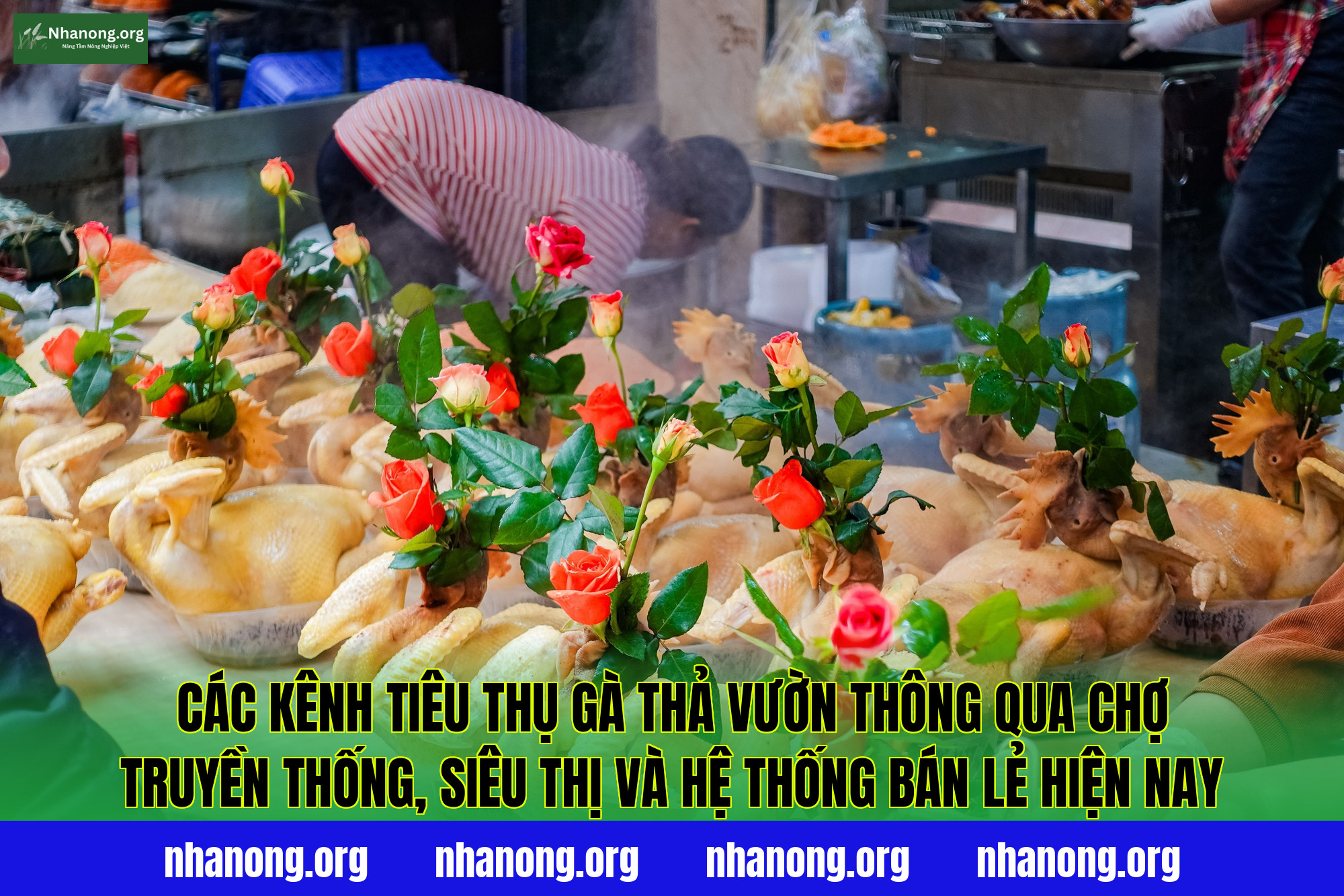 Các kênh tiêu thụ gà thả vườn thông qua chợ truyền thống, siêu thị và hệ thống bán lẻ hiện nay
