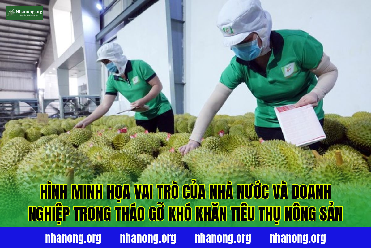 Hình minh họa vai trò của Nhà nước và doanh nghiệp trong tháo gỡ khó khăn tiêu thụ nông sản