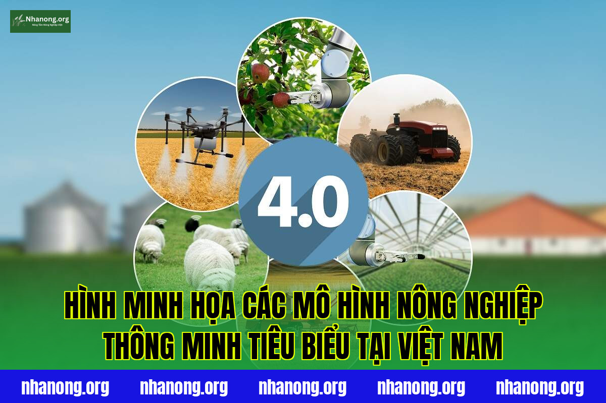 Hình minh họa các mô hình nông nghiệp thông minh tiêu biểu tại Việt Nam