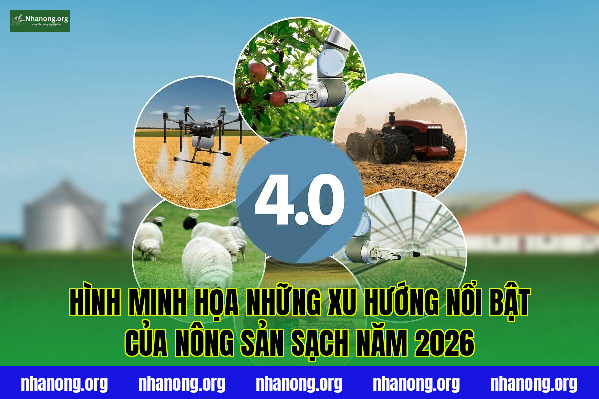 Hình minh họa những xu hướng nổi bật của nông sản sạch năm 2026