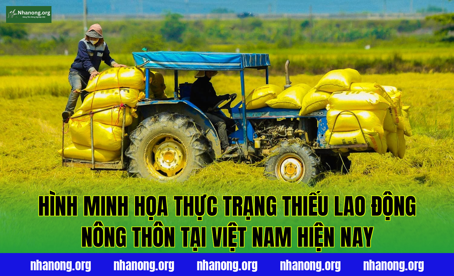 Hình minh họa thực trạng thiếu lao động nông thôn tại Việt Nam hiện nay