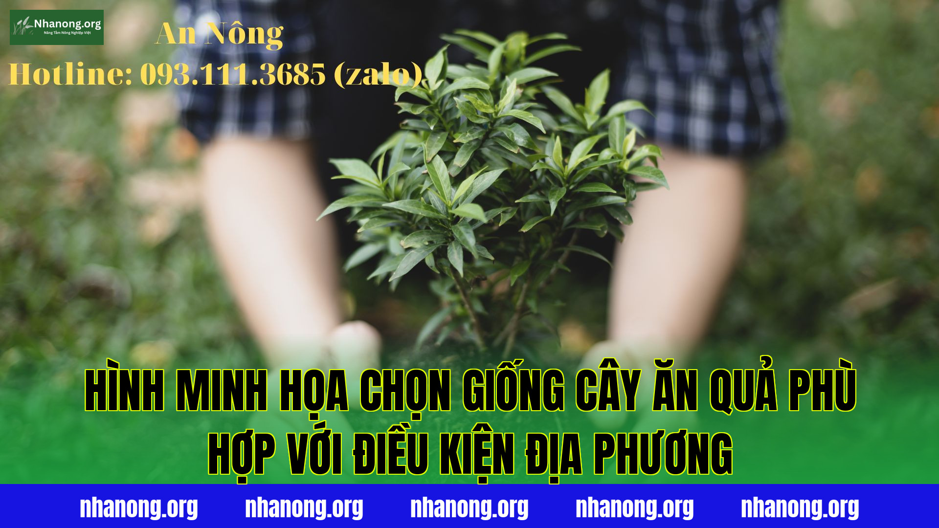 Hình minh họa chọn giống cây ăn quả phù hợp với điều kiện địa phương