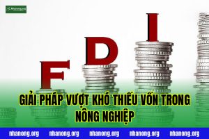 Giải Pháp Vượt Khó Thiếu Vốn Trong Nông Nghiệp