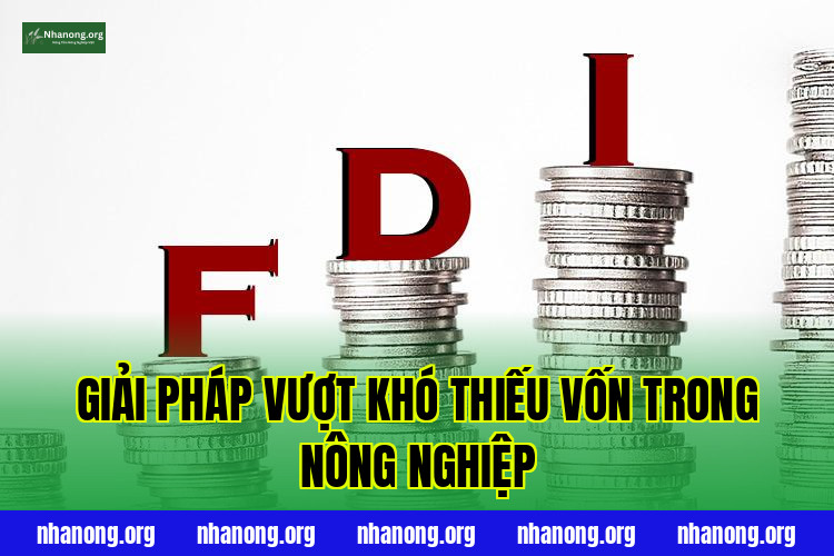 Giải Pháp Vượt Khó Thiếu Vốn Trong Nông Nghiệp