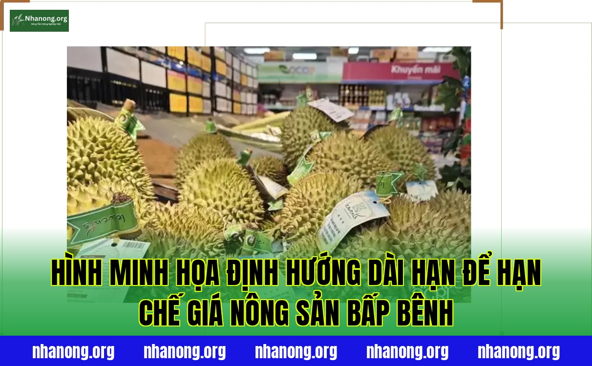 Hình minh họa định hướng dài hạn để hạn chế giá nông sản bấp bênh