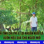 Cách Tính Chi Phí và Lợi Nhuận Nuôi Gà Thả Vườn Hiệu Quả Cho Người Mới