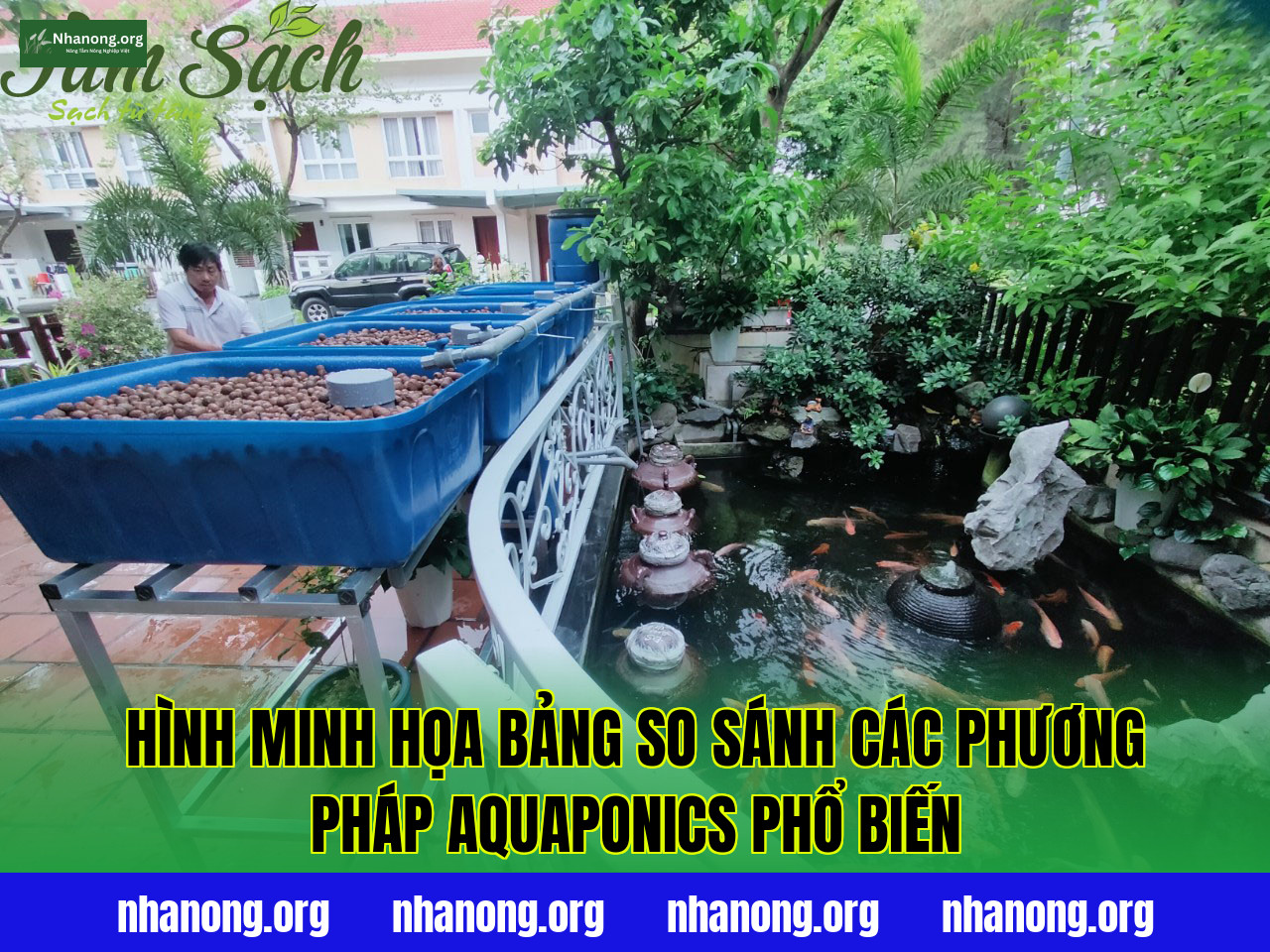 Hình minh họa bảng so sánh các phương pháp Aquaponics phổ biến
