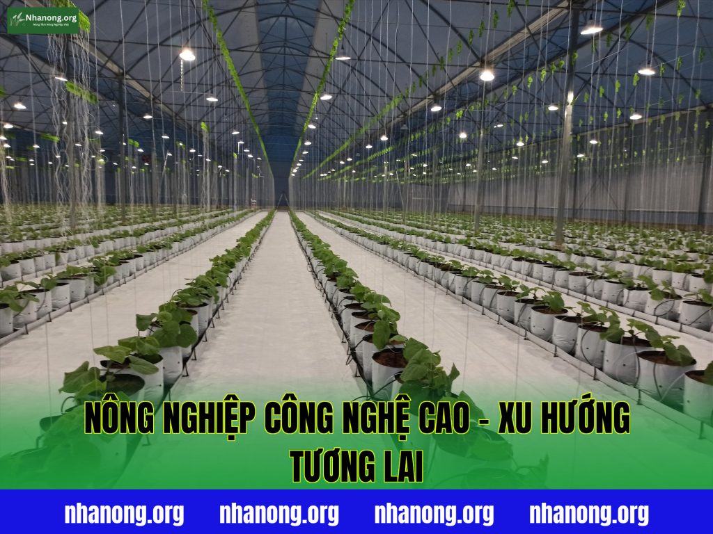 Nông Nghiệp Công Nghệ Cao – Xu Hướng Tương Lai