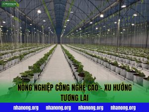 Nông Nghiệp Công Nghệ Cao – Xu Hướng Tương Lai