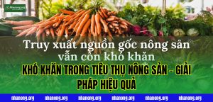 Khó Khăn Trong Tiêu Thụ Nông Sản – Giải Pháp Hiệu Quả