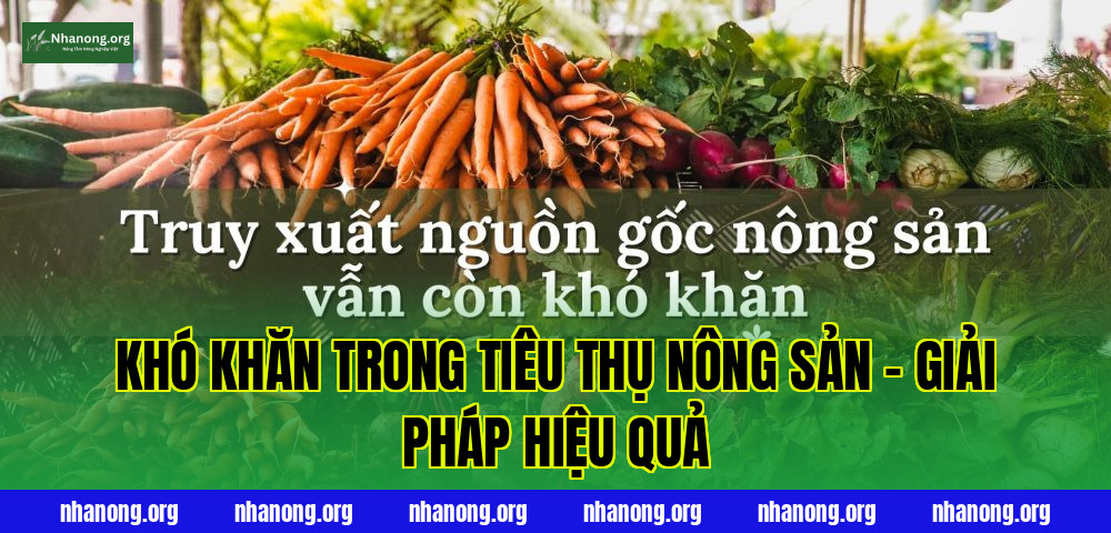 Khó Khăn Trong Tiêu Thụ Nông Sản – Giải Pháp Hiệu Quả