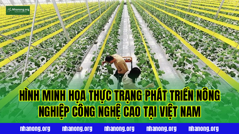 Hình minh họa thực trạng phát triển nông nghiệp công nghệ cao tại Việt Nam