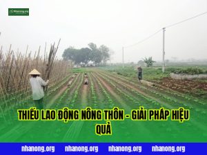 Thiếu Lao Động Nông Thôn – Giải Pháp Hiệu Quả