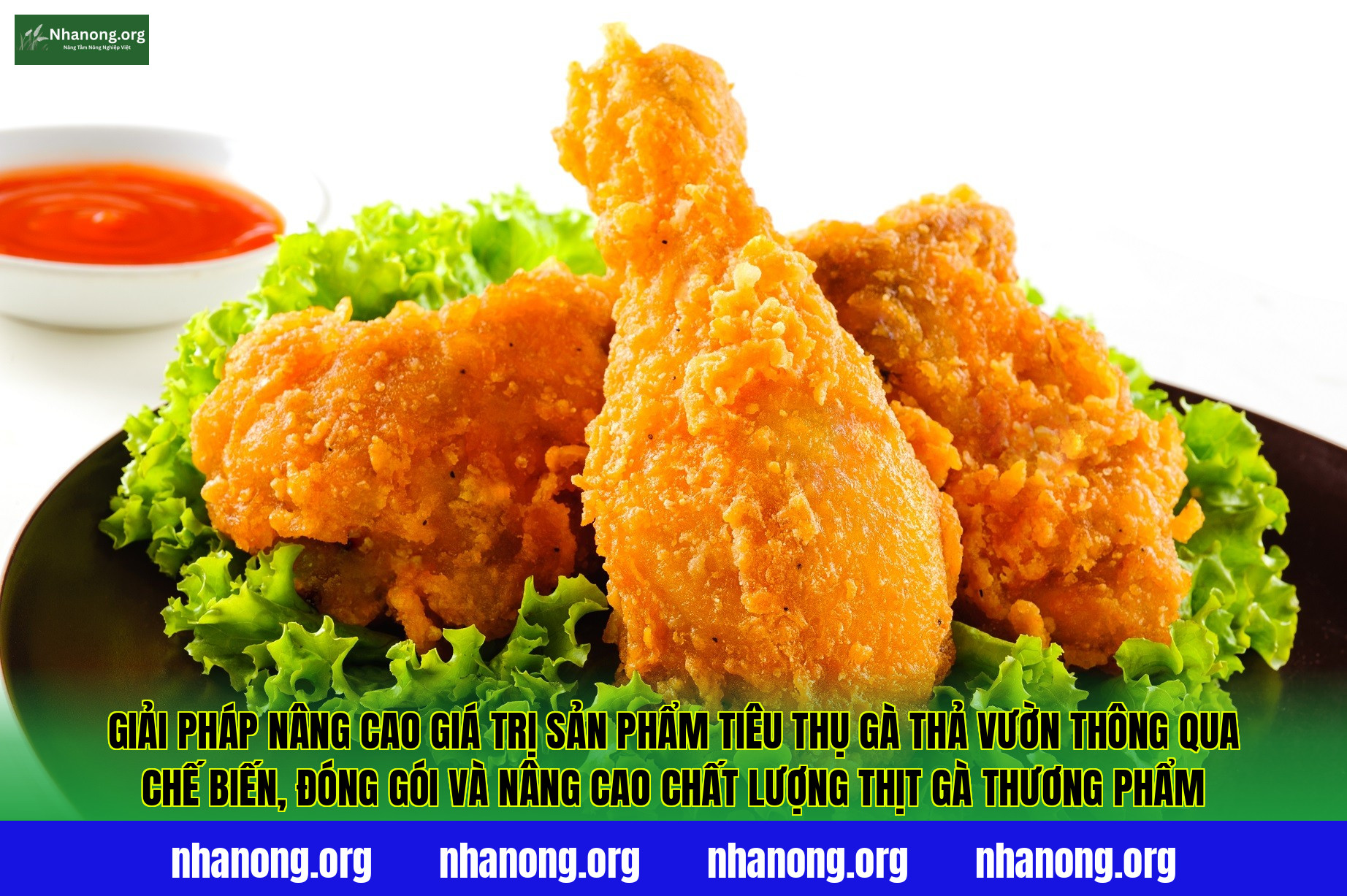 Giải pháp nâng cao giá trị sản phẩm tiêu thụ gà thả vườn thông qua chế biến, đóng gói và nâng cao chất lượng thịt gà thương phẩm