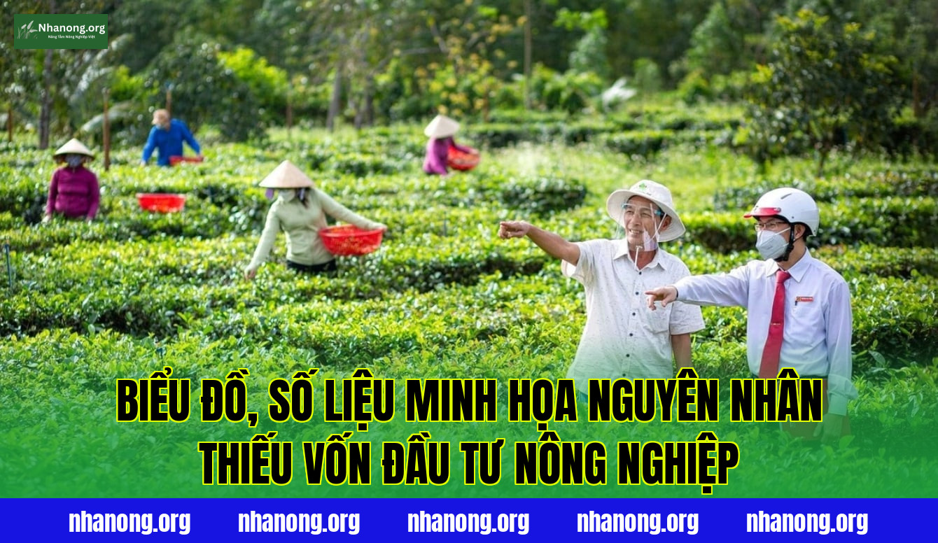 Biểu đồ, số liệu minh họa nguyên nhân thiếu vốn đầu tư nông nghiệp