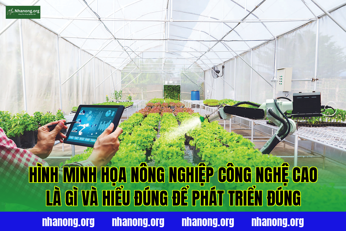 Hình minh họa nông nghiệp công nghệ cao là gì và hiểu đúng để phát triển đúng
