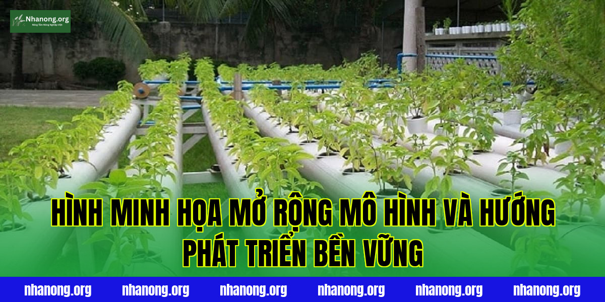 Hình minh họa mở rộng mô hình và hướng phát triển bền vững