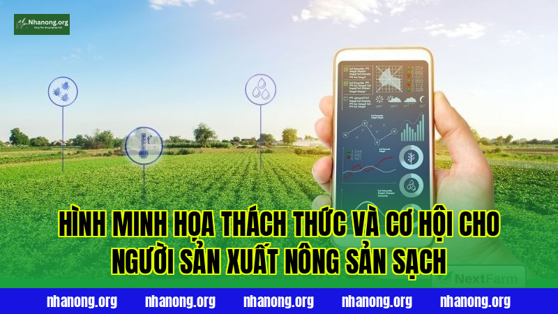 Hình minh họa thách thức và cơ hội cho người sản xuất nông sản sạch
