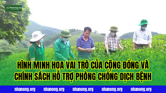 Hình minh họa vai trò của cộng đồng và chính sách hỗ trợ phòng chống dịch bệnh