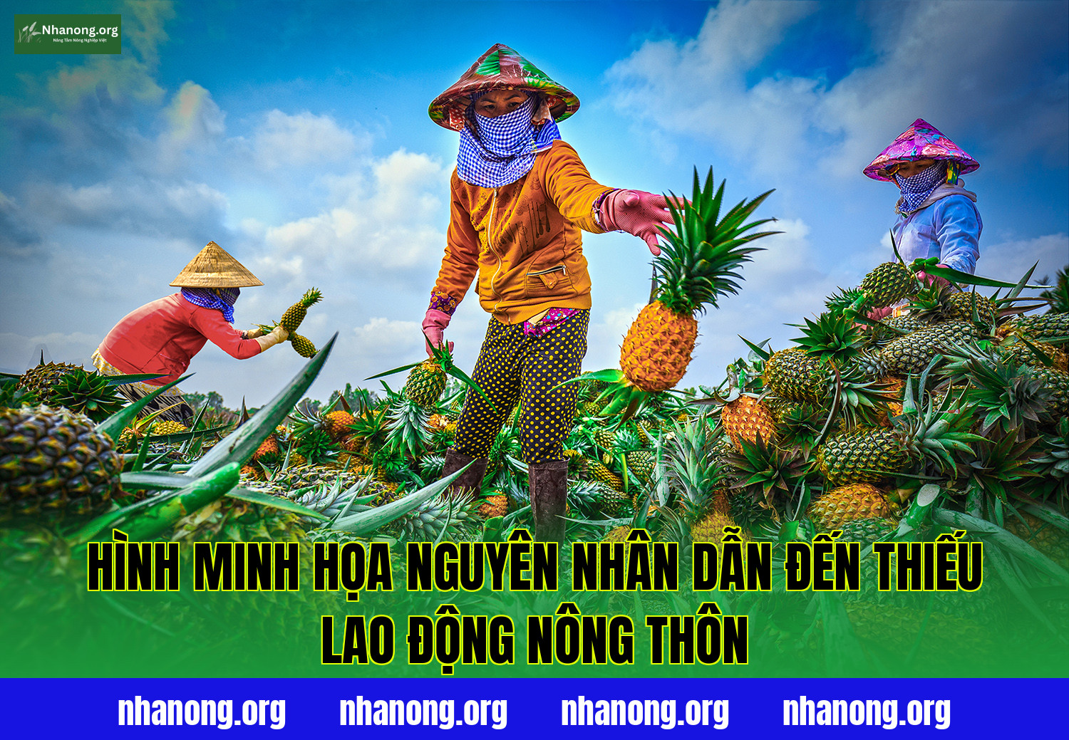 Hình minh họa nguyên nhân dẫn đến thiếu lao động nông thôn