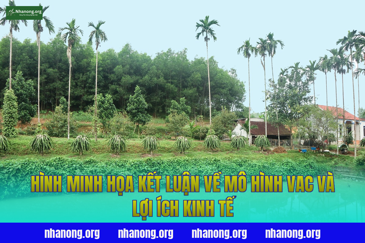 Hình minh họa kết luận về mô hình VAC và lợi ích kinh tế