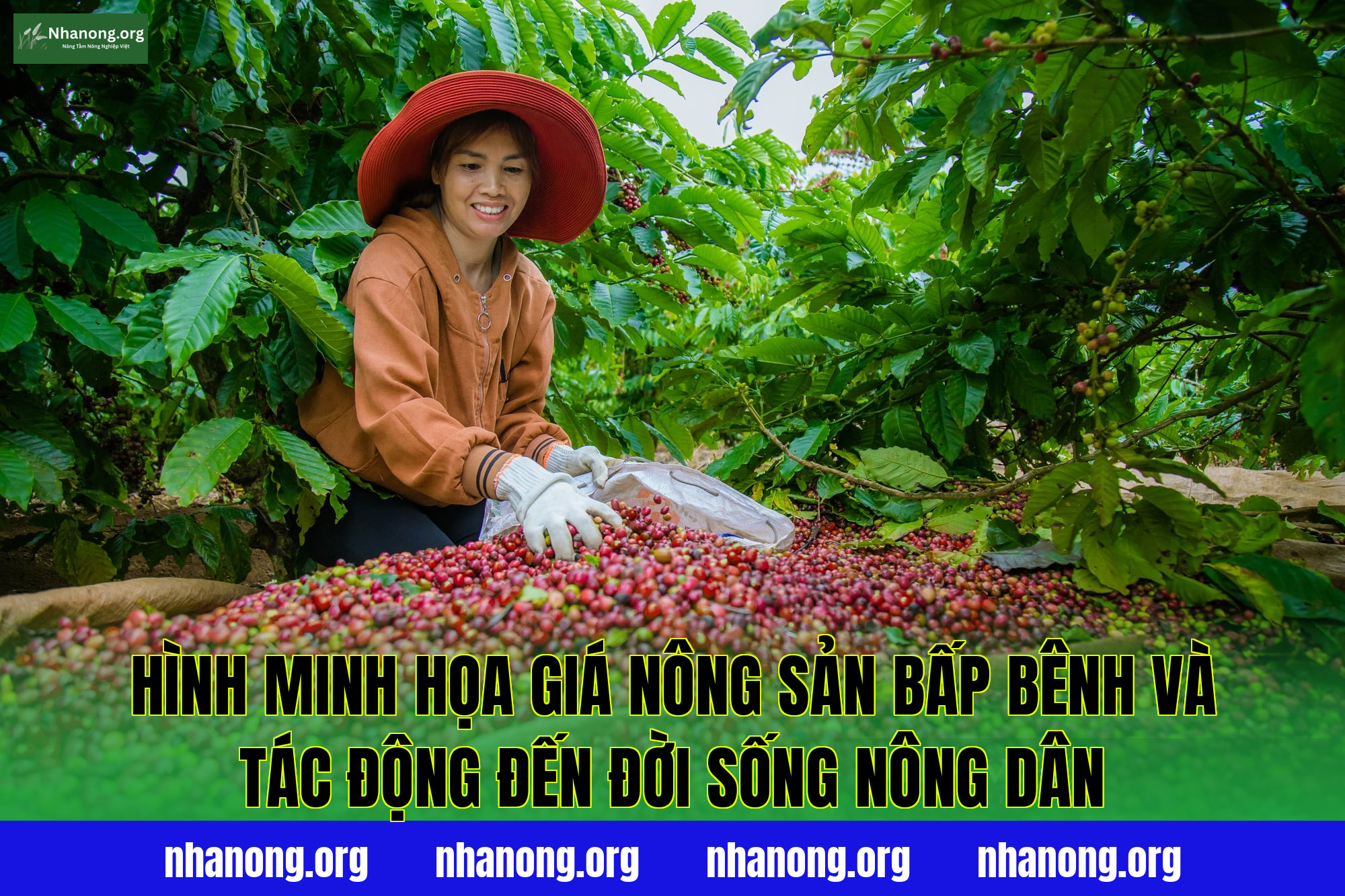 Hình minh họa giá nông sản bấp bênh và tác động đến đời sống nông dân