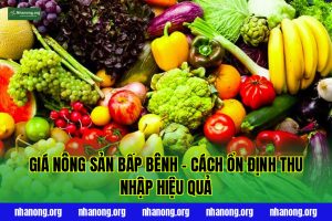 Giá Nông Sản Bấp Bênh – Cách Ổn Định Thu Nhập Hiệu Quả