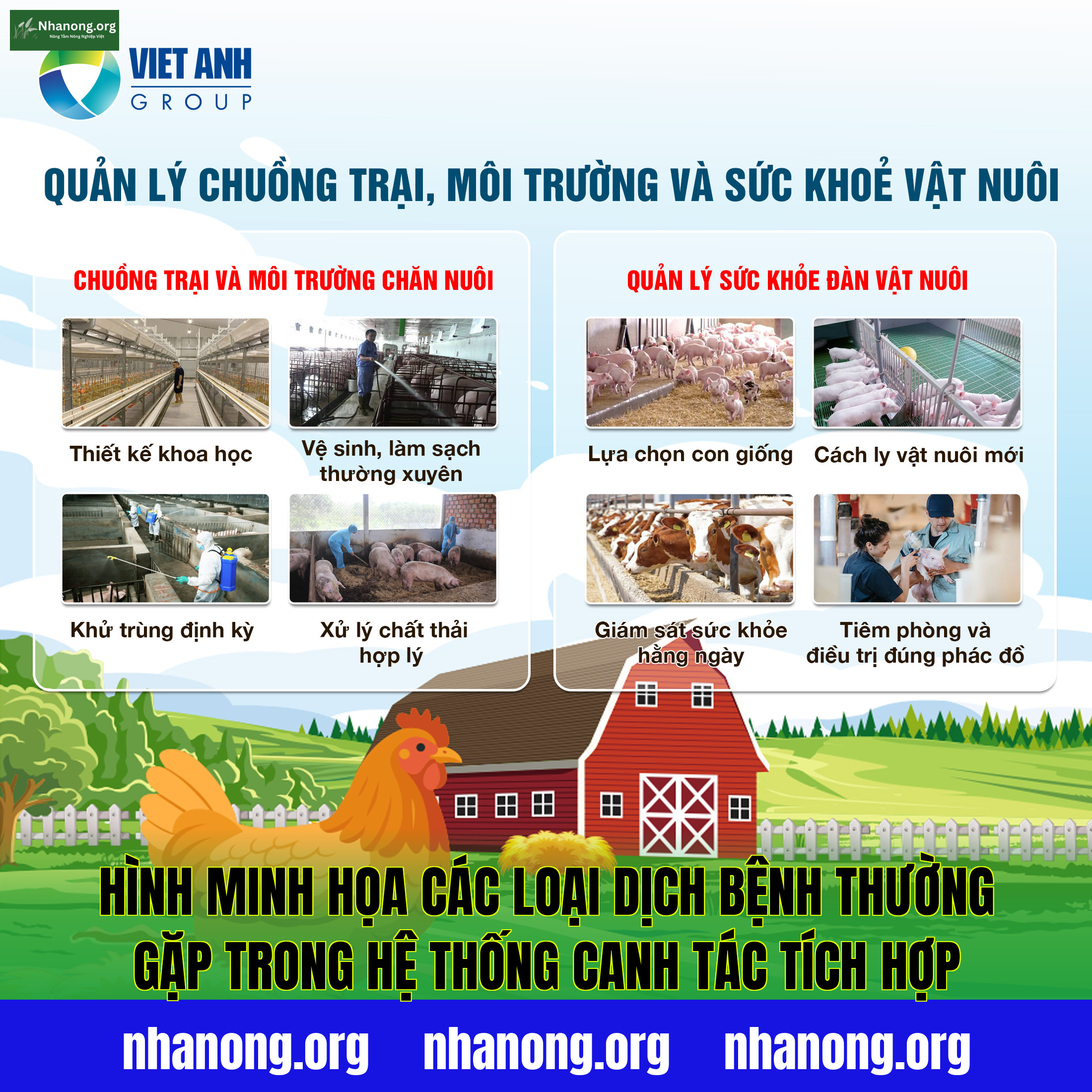 Hình minh họa các loại dịch bệnh thường gặp trong hệ thống canh tác tích hợp