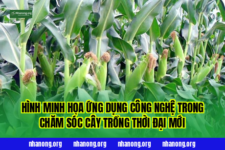 Hình minh họa ứng dụng công nghệ trong chăm sóc cây trồng thời đại mới