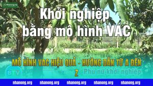 Mô Hình VAC Hiệu Quả – Hướng Dẫn Từ A đến Z