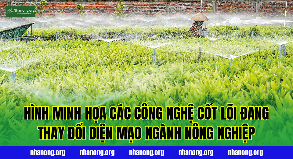 Hình minh họa các công nghệ cốt lõi đang thay đổi diện mạo ngành nông nghiệp