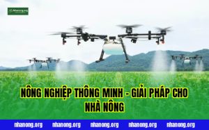 Nông Nghiệp Thông Minh – Giải Pháp Cho Nhà Nông