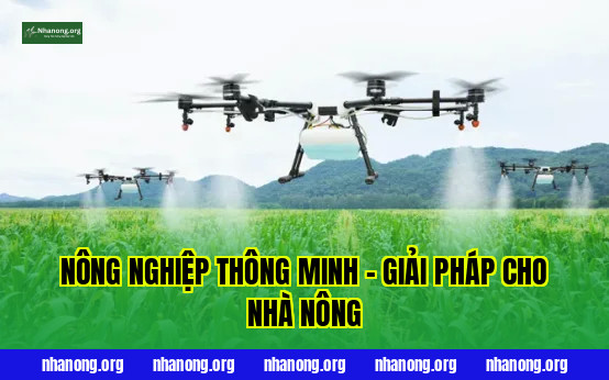 Nông Nghiệp Thông Minh – Giải Pháp Cho Nhà Nông