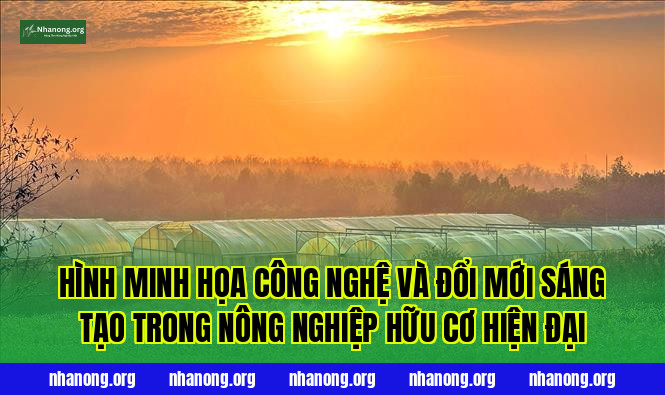 Hình minh họa công nghệ và đổi mới sáng tạo trong nông nghiệp hữu cơ hiện đại