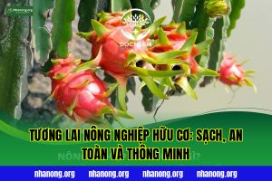 Tương Lai Nông Nghiệp Hữu Cơ: Sạch, An Toàn và Thông Minh