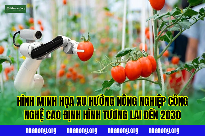 Hình minh họa xu hướng nông nghiệp công nghệ cao định hình tương lai đến 2030