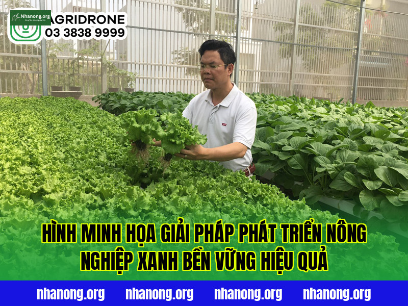 Hình minh họa giải pháp phát triển nông nghiệp xanh bền vững hiệu quả