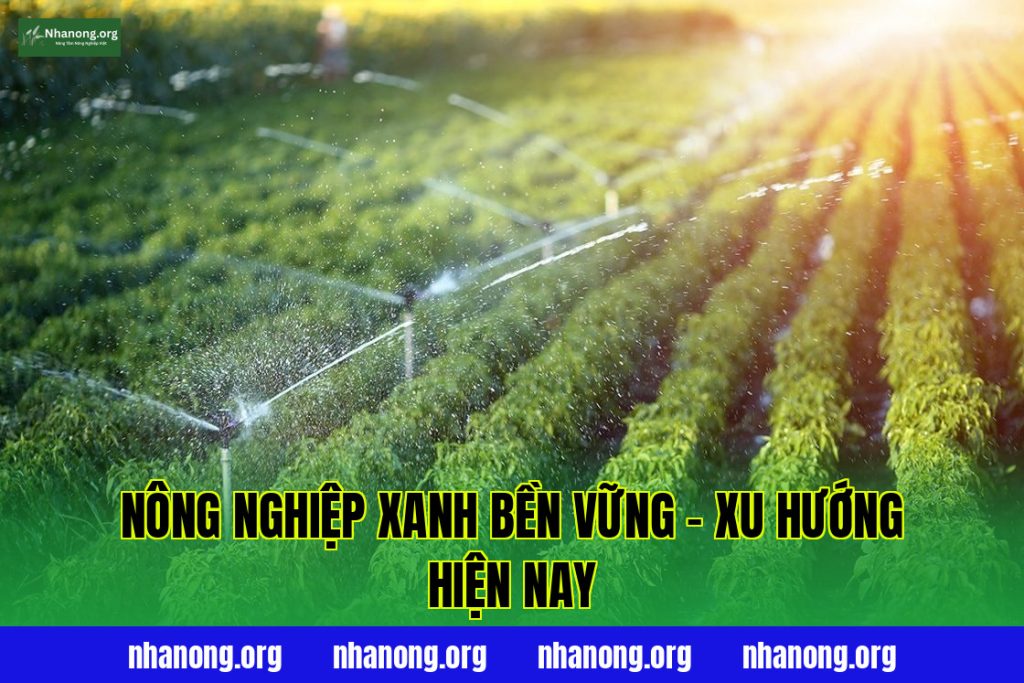 Nông Nghiệp Xanh Bền Vững – Xu Hướng Hiện Nay