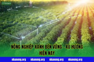 Nông Nghiệp Xanh Bền Vững – Xu Hướng Hiện Nay