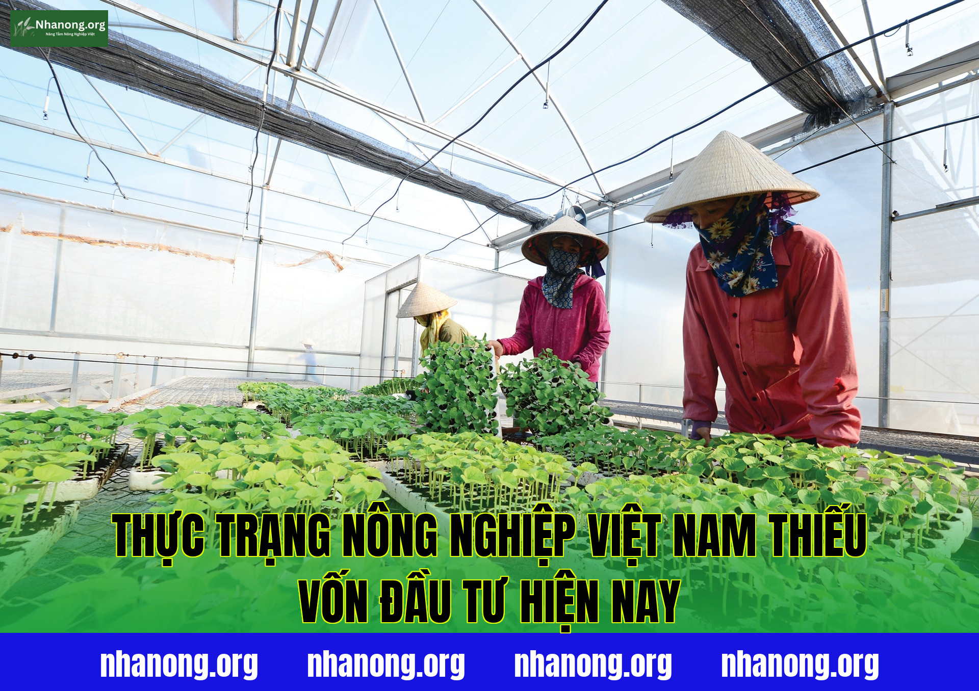 Thực trạng nông nghiệp Việt Nam thiếu vốn đầu tư hiện nay