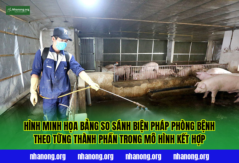 Hình minh họa bảng so sánh biện pháp phòng bệnh theo từng thành phần trong mô hình kết hợp