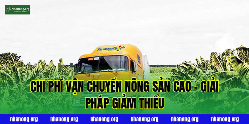 Chi Phí Vận Chuyển Nông Sản Cao – Giải Pháp Giảm Thiểu