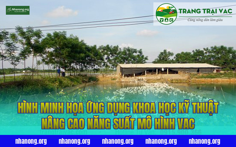 Hình minh họa ứng dụng khoa học kỹ thuật nâng cao năng suất mô hình VAC