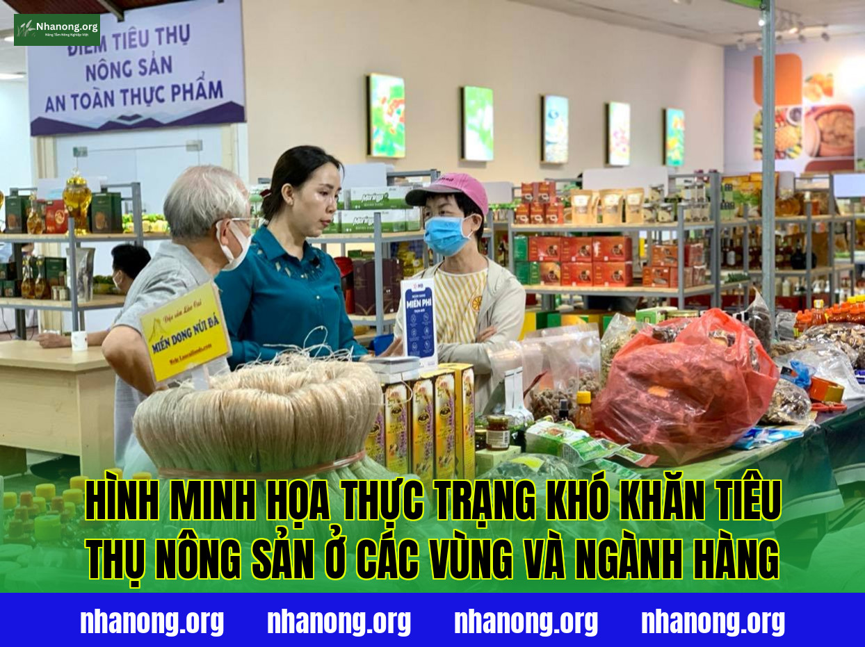 Hình minh họa thực trạng khó khăn tiêu thụ nông sản ở các vùng và ngành hàng